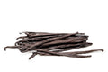 Vaniglia bourbon – Baccelli Scelti (14/16 cm)